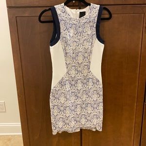Blue and white fitted dress